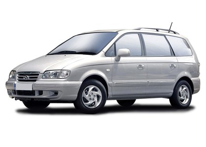 Ворсовые коврики на Hyundai Trajet 1999 - 2008 в Новокузнецке