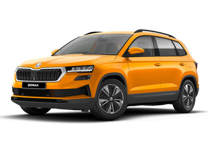 Коврики на Skoda Karoq 2017 - 2025 в Новокузнецке