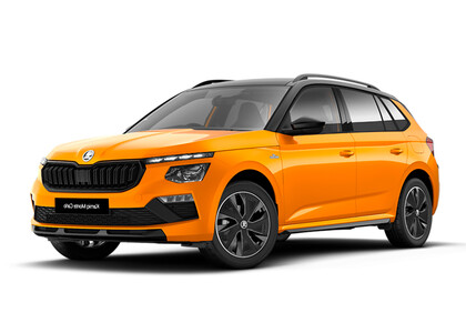Коврики на Skoda Kamiq (Европа) 2019&nbsp;-&nbsp;2026 в Новокузнецке