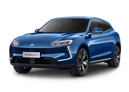 Ворсовые коврики на Seres SF5 2019&nbsp;-&nbsp;2022 в Новокузнецке