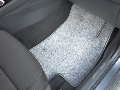 Коврики на Audi Q2L 2016&nbsp;-&nbsp;2026 в Новокузнецке