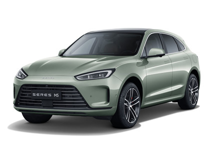 Коврики на Seres M5 2021 - 2025 в Новокузнецке