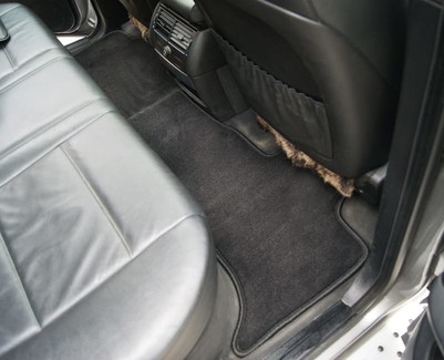 Ворсовые коврики на BMW X5 (E53) 1999 - 2006 в Новокузнецке