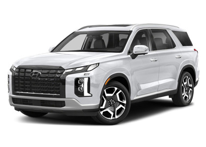 EVA коврики на Hyundai Palisade 2018 - 2025 в Новокузнецке