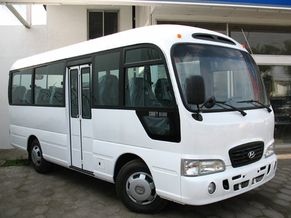 Коврики на Hyundai County 2006 - 2016 в Новокузнецке