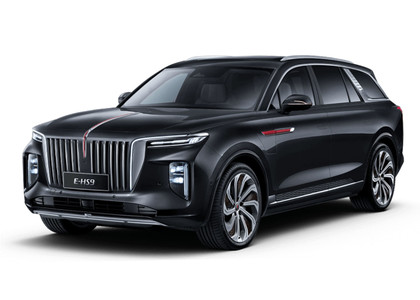 Ворсовые коврики на Hongqi E-HS9 2022 - 2025 в Новокузнецке