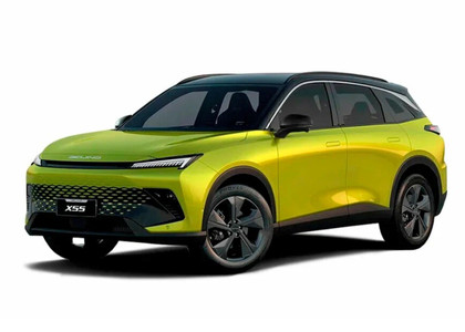 Коврики на Baic X55 2022 - 2025 в Новокузнецке