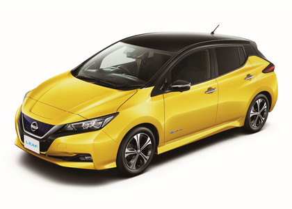 Ворсовые коврики на Nissan Leaf (ZE1) 2017 - 2025 в Новокузнецке