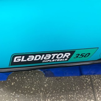 Коврики на Лодки Gladiator E350S  в Новокузнецке