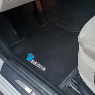 EVA коврики на BMW 5 Gran Turismo (F07) 2009 - 2016 в Новокузнецке
