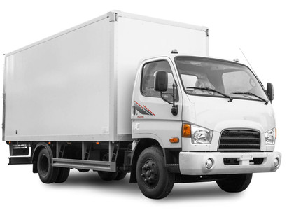 Коврики на Hyundai HD65 HD72 HD78 1997 - 2021 в Новокузнецке