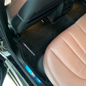 Ворсовые коврики на BMW X5 (G05/G18) 2018 - 2025 в Новокузнецке